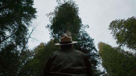 Video thumbnail: Untold Earth Redwoods Shouldn't Be So Tall. Here's Why They Are